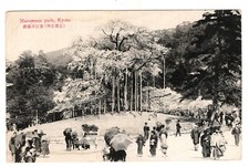 Japan Kyoto  Maruyama Park Lots of People Vintage View Postcard picture