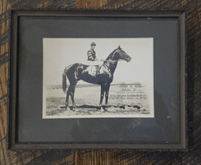 Original Antique C.C. Cook Photo - Man o' War with 1920 American/Track Records picture