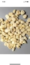 BAG OF 100 LOOSE TEETH OF DIFFERENT SIZES AND SHADES picture