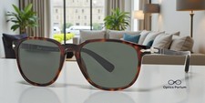 PERSOL PO3019S 24 31 Havana Green 55 mm Men's Sunglasses picture