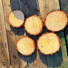 Unique Unfinished Natural Wood Round Slice w/ Bark Edge, Set of 10, 10 to 12” x1 picture