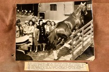 Derby Winner Jet Pilot Leaves Louisville 2 Preakness 7⅞x6 1947 AP Wire Photo V33 picture