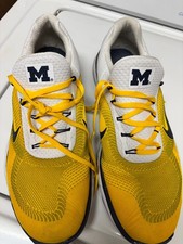 Nike shoes men 11.5 - Michigan Wolverines picture
