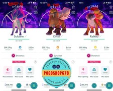 Pokémon Go - Shiny Dynamax Suicune-Entei-Raikou Dark Skies Background ✨ Mini PTC picture