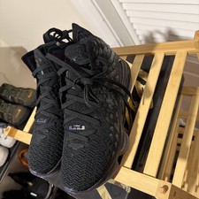 DS Nike LeBron 17 