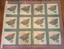 Antique N. Carolina Tulip Applique Patchwork Quilt 66 X 81” picture