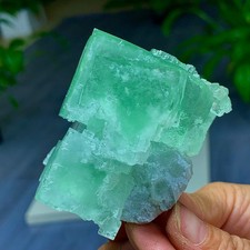 226G ﻿Natural apple green fluorite crystal mineral specimen Xianghualing picture