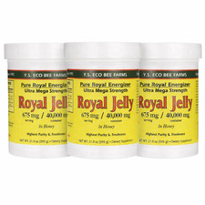 Y.S. Eco Bee Farms Royal Jelly (675mg) 21 oz (Pack of 3) picture