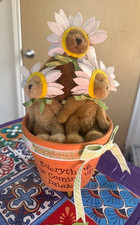 Boyd’s Bear (Everything is coming up daisies) picture