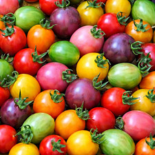 100 Heirloom Rainbow Large Cherry Tomato Seed Mix - 6 Large Sweet Tomato Colors picture