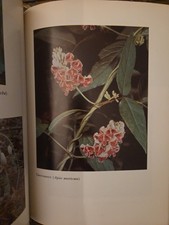 Vtg 1968 Pioneering with Wildflowers Book George D. Aiken  B&W Color Photography picture