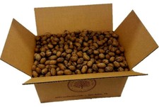 50 lbs. Texas *Squirrel Grade* In Shell & Cracked Pecans Bulk | Millican Pecan picture