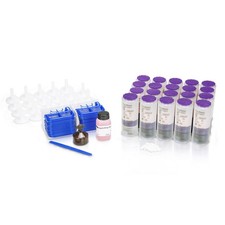 Ivoclar Vivadent 628891 SR Ivobase High Impact Acrylic Preference 20/Pk picture