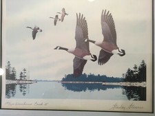 1975 Maryland Duck Stamp Print, Stanley Stearns, 2nd. Ed. picture