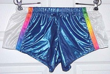 RARE NOS VINTAGE, SHINY SHORTS BEACH SHORTS, SIZE SMALL 28-32 NYLON & ONION SKIN picture