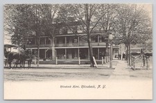 Rhinebeck NY Rhinebeck Hotel Street View Horse Carriage Postcard picture