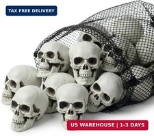 12 PCS Mini Skull Heads, 2 Inch Realistic Plastic Skeleton Skulls for Halloween picture