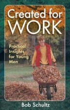 Created for Work: Practical Insights for Young Men - Paperback - GOOD picture