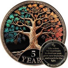 Sobriety Coin Gift Set 5 Year Tree of Life AA Chip with Capsule Stand and Card picture