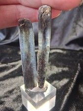 Indigo Kyanite x2 picture
