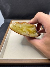 Natural baltic amber 263 grams picture