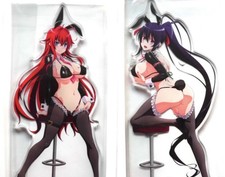 High School DxD Rias & Himejima Akeno Big Acrylic Stand 30cm 2set japan Anime picture