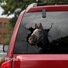 LARGE-SIZED CAR DECALS - HORSE - 8 CHOICES picture