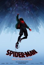 2018 Spider Man Into The Spiderverse Movie Poster 11X17 Miles Morales Parker 🍿 picture