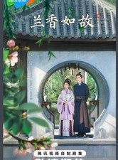2026 New Chinese Against the Current  Tan Songyun/Liu Xueyi 兰香如故 picture