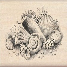 Inkadinkado Seashells Wood Stamp 3'' x 2.25