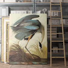 Great Blue Heron 1821 John James Audubon Birds of America Canvas Wall Art Print picture