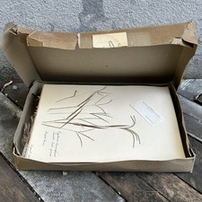 Herbarium Box of 45 Sedge Specimens 1935-1939 Connecticut Agricultural College  picture