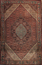 Stunning One of a Kind Hand Knotted Rust Salmon Color Bidjarr 4 x 6 Rug picture