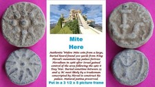 ORIGINAL Desert Patina 2 Widows Mites Herods Hoard Holy Land Artifact COA A14 picture