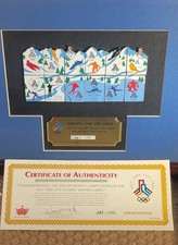 Rare Salt Lake City 2002 Olympics Framed Pin Puzzle Set - Limited Ed. #387/1,000 picture