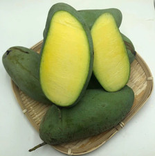 Live Grafted Mun Kun Si Mango Tree - 3 Gal Pot - Fruit Tree picture