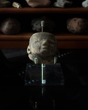 Pre-Columbian Head Fragment Artifact Likely Veracruz Remojadas picture