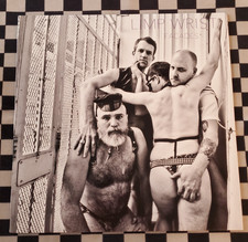 Facades LP by Limp Wrist vinyl 2017 VG+ Lengua Armada Discos picture