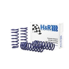 H R    28801 1    Hr Sport Springs picture
