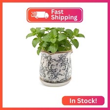 Xoogifae Ceramic-Planters-for-Indoor-Plants with Saucer, 6 inch Vintage Ice Crac picture