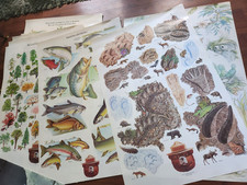 Lot of 14 Vintage Smokey the Bear Educational Posters 1980s US Dept Of Ag 30x20