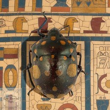 Eastern Hercules Beetle, Dynastes Tityus, by Eric Buechel Giclee Print picture