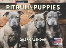 Pitbull Puppy Calendar 2027 Pit Bull Monthly Wall Calender 12 Month picture