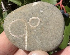 ☘️RR⛏️: The “90 Rock” “Go Rock” Oregon Beach Stone picture