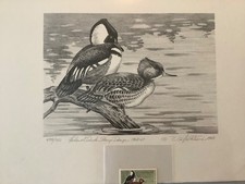 EXCEPTIONAL CONDITION 1968 FEDERAL  DUCK STAMP & PRINT CG PRITCHARD picture