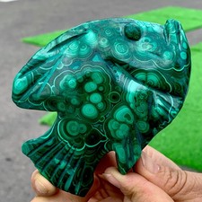 345G Natural glossy Malachite Crystal Handcarved fish mineral sample picture