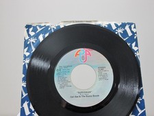 45 RECORD - CELI BEE & THE BUZZY BUNCH picture