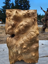 Live Edge Maple Wood Burl Block 3.4 BF picture
