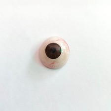 Artificial Eyes Realistic Black Human Prosthetic Eye 1 PC picture