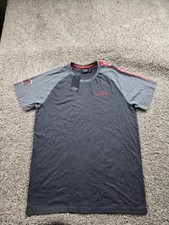 Michael Schumacher Shirt Mens Large Gray Last Race Sao Paulo Brazil 2012 Graphic picture